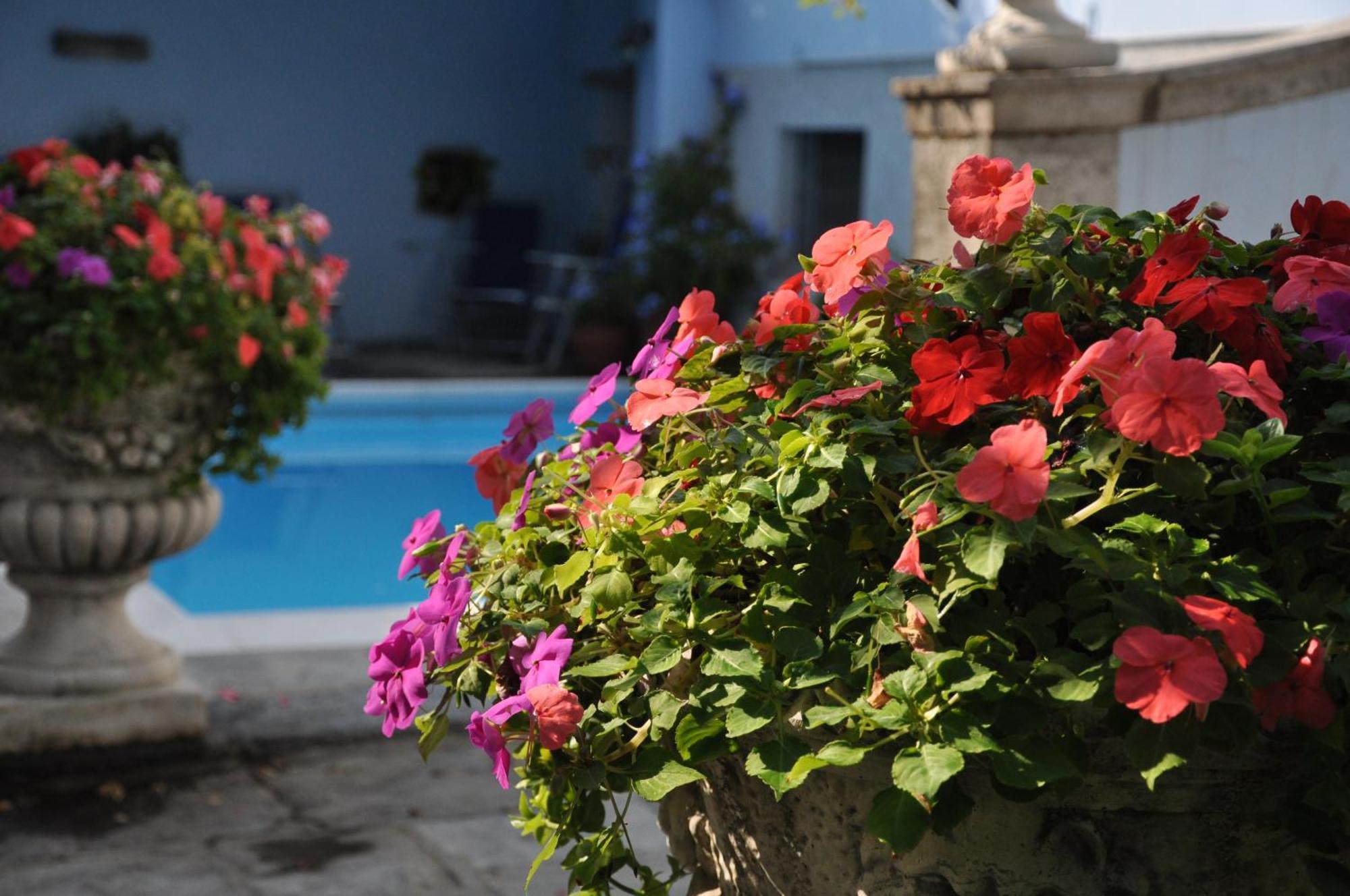 Villa Annamaria B&B Domaso Luaran gambar